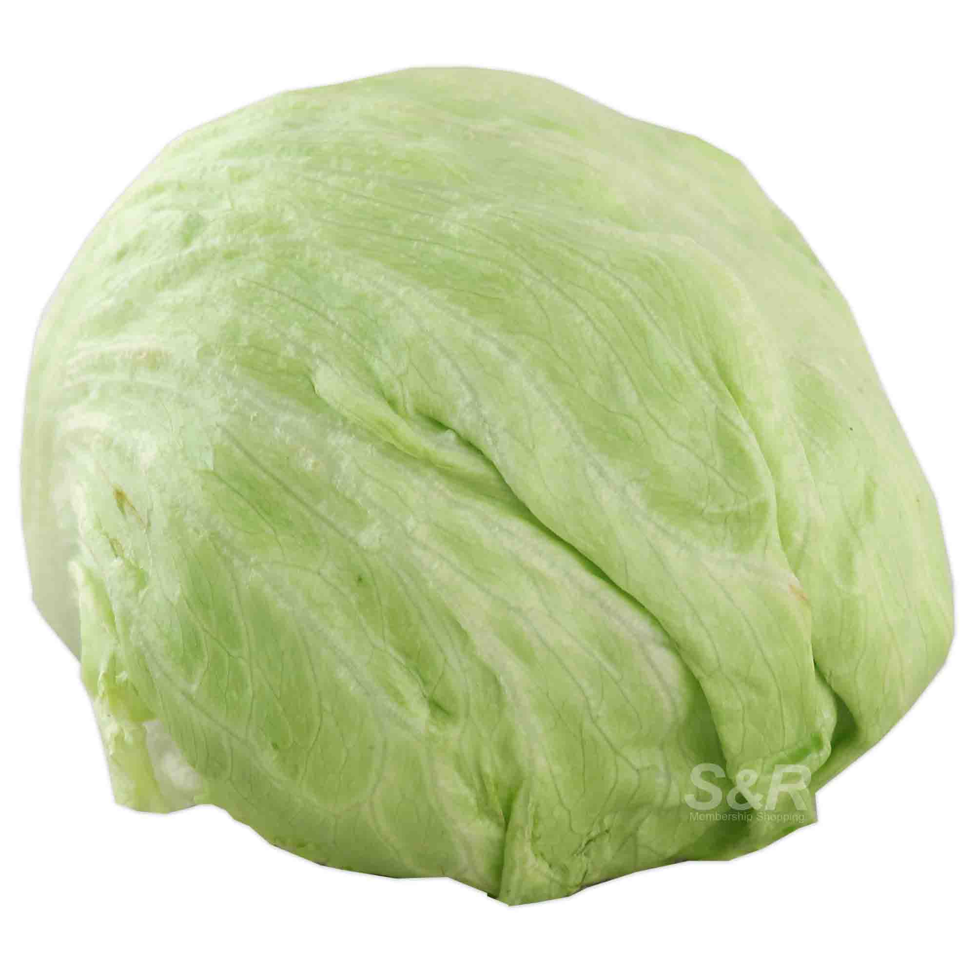 S&R Baguio Lettuce approx. 900g S&R Baguio Lettuce approx. 900g